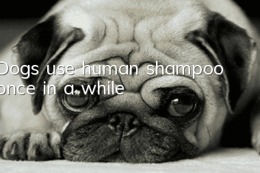Dogs use human shampoo once in a while