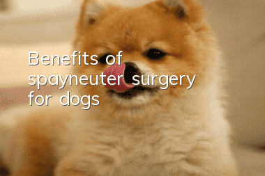 Benefits of spay/neuter surgery for dogs