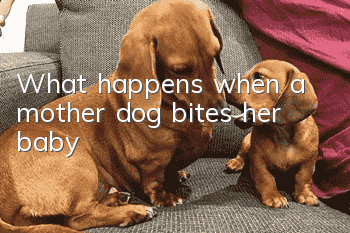 What happens when a mother dog bites her baby?
