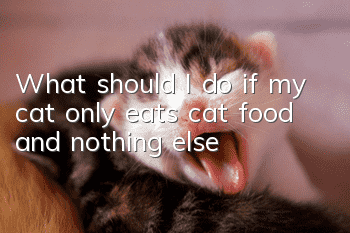 What should I do if my cat only eats cat food and nothing else?