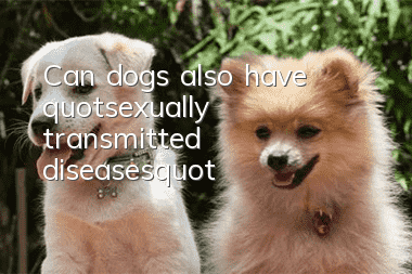 Can dogs also have "sexually transmitted diseases"?