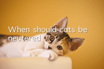 When should cats be neutered?