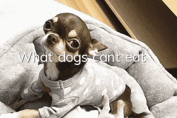 What dogs can’t eat