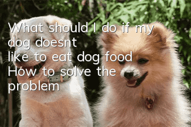 What should I do if my dog doesn’t like to eat dog food? How to solve the problem?