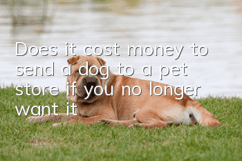Does it cost money to send a dog to a pet store if you no longer want it?