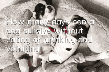 How many days can a dog survive without eating or drinking and vomiting?