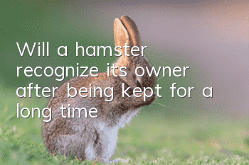 Will a hamster recognize its owner after being kept for a long time?
