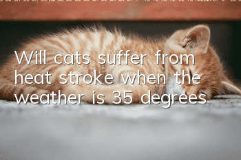 Will cats suffer from heat stroke when the weather is 35 degrees?