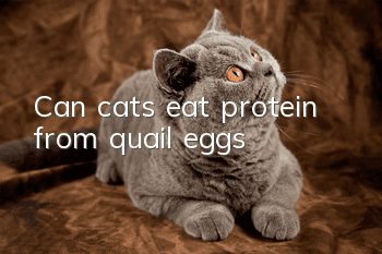 Can cats eat protein from quail eggs?