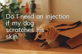 Do I need an injection if my dog scratches his skin?