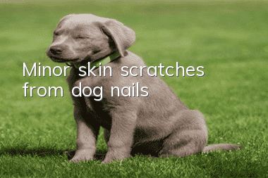 Minor skin scratches from dog nails