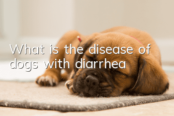 What is the disease of dogs with diarrhea?