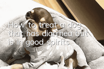 How to treat a dog that has diarrhea but is in good spirits