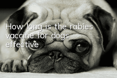 How long is the rabies vaccine for dogs effective?