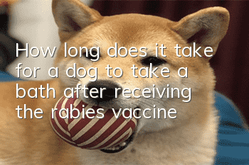 How long does it take for a dog to take a bath after receiving the rabies vaccine?