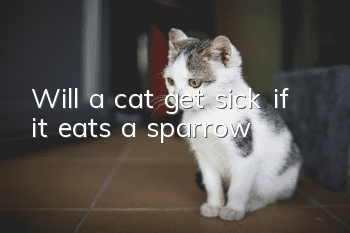 Will a cat get sick if it eats a sparrow?