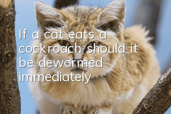 If a cat eats a cockroach, should it be dewormed immediately?