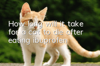 How long will it take for a cat to die after eating ibuprofen?