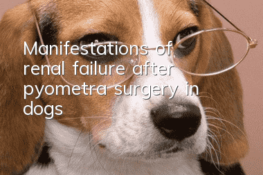 Manifestations of renal failure after pyometra surgery in dogs