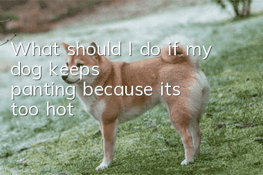 What should I do if my dog keeps panting because it’s too hot?