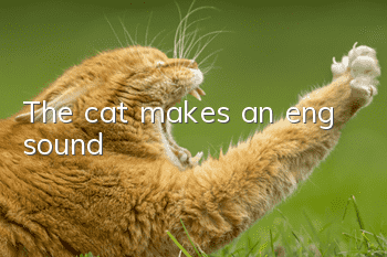 The cat makes an eng sound