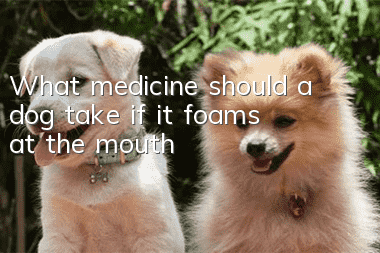 What medicine should a dog take if it foams at the mouth?