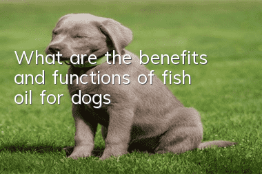 What are the benefits and functions of fish oil for dogs?