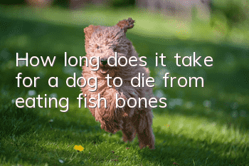 How long does it take for a dog to die from eating fish bones?