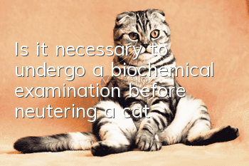 Is it necessary to undergo a biochemical examination before neutering a cat?