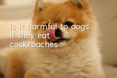 Is it harmful to dogs if they eat cockroaches?