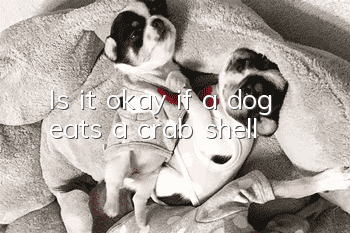 Is it okay if a dog eats a crab shell?