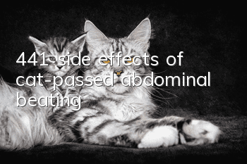 441 side effects of cat-passed abdominal beating