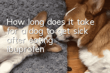 How long does it take for a dog to get sick after eating ibuprofen?