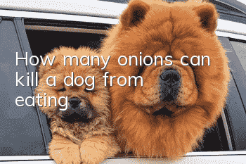 How many onions can kill a dog from eating?