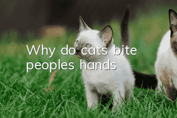 Why do cats bite people's hands?