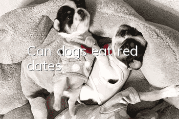 Can dogs eat red dates?