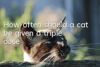 How often should a cat be given a triple dose?