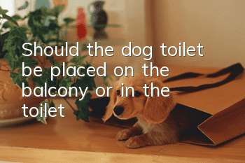 Should the dog toilet be placed on the balcony or in the toilet?