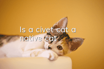 Is a civet cat a native cat?