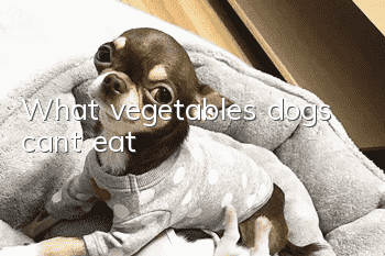 What vegetables dogs can’t eat