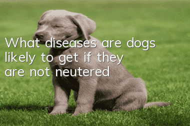What diseases are dogs likely to get if they are not neutered?