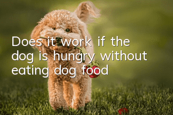 Does it work if the dog is hungry without eating dog food?