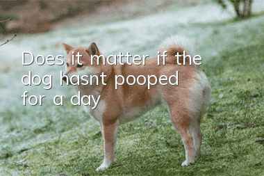 Does it matter if the dog hasn’t pooped for a day?