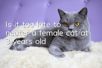 Is it too late to neuter a female cat at 3 years old?