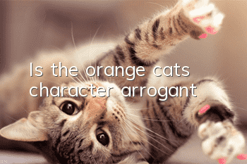 Is the orange cat’s character arrogant?