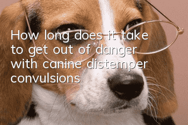How long does it take to get out of danger with canine distemper convulsions?