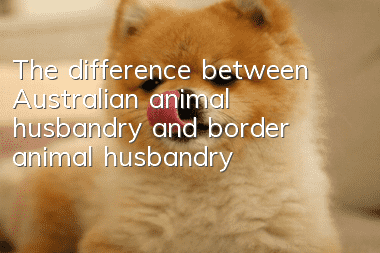 The difference between Australian animal husbandry and border animal husbandry