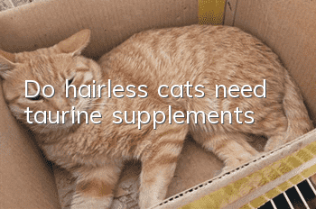 Do hairless cats need taurine supplements?