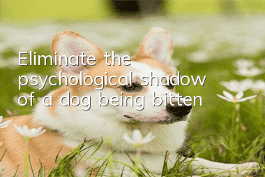 Eliminate the psychological shadow of a dog being bitten