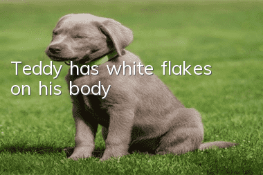 Teddy has white flakes on his body
